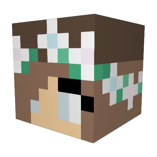 Disneyfan257 Minecraft avatar head, 3D render
