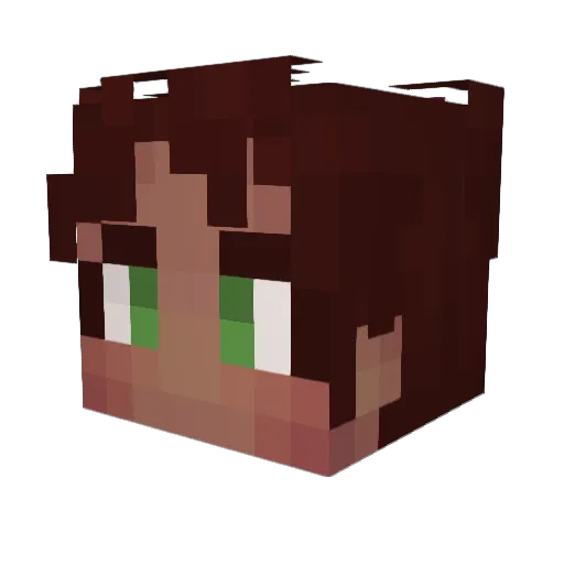 Disorenn Minecraft avatar head, 3D render