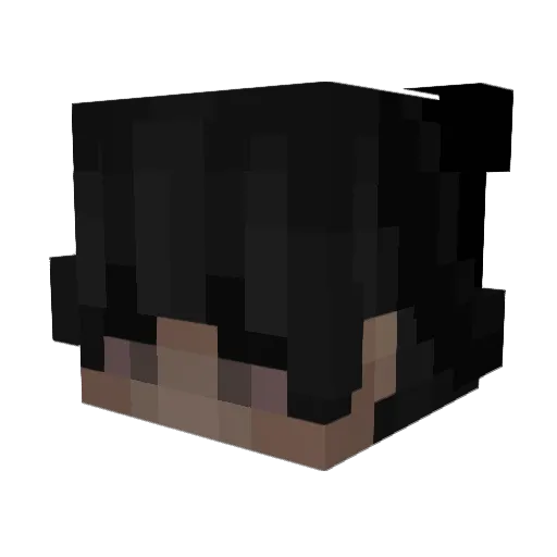 Dispendious Minecraft avatar head, 3D render