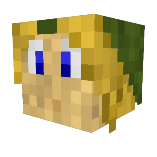 Dispositions Minecraft avatar head, 3D render