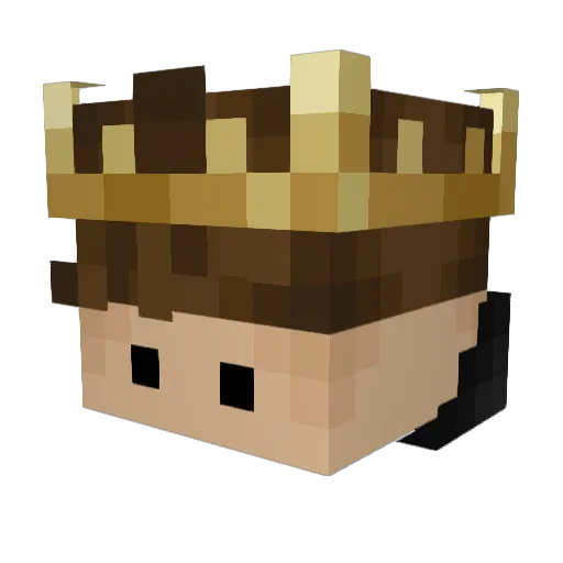 Disqplay Minecraft avatar head, 3D render
