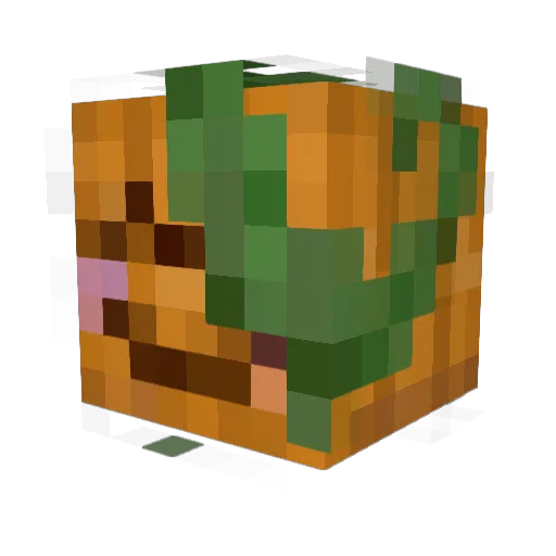 Disquiet_Forest Minecraft avatar head, 3D render