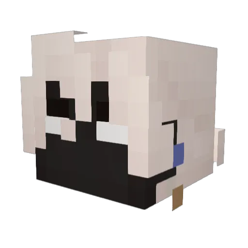 Disruption9900 Minecraft avatar head, 3D render