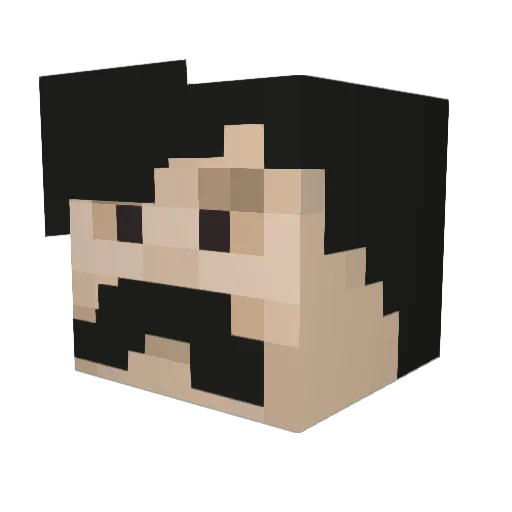 Dissions Minecraft avatar head, 3D render