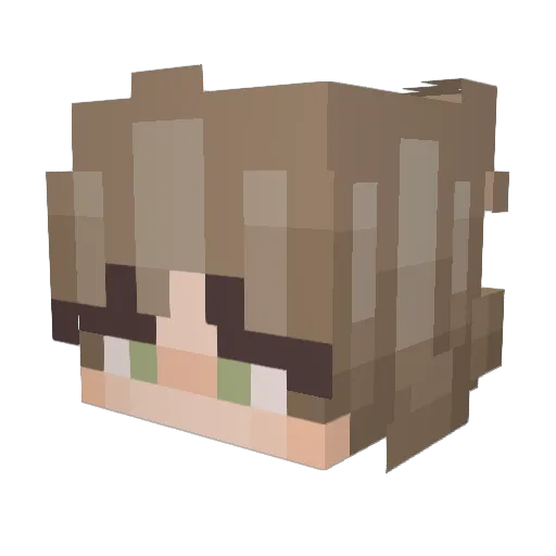 Disslance Minecraft avatar head, 3D render