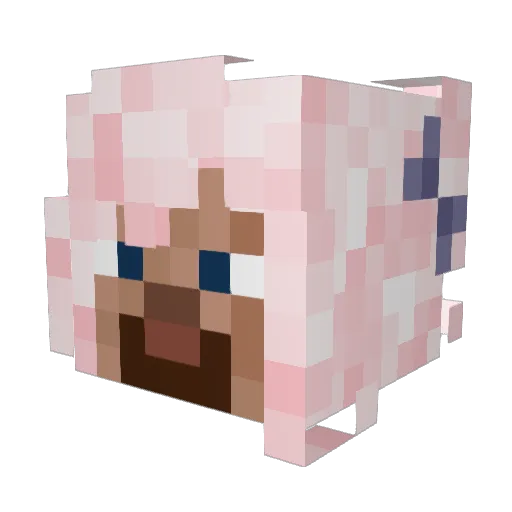 DistantNPC Minecraft avatar head, 3D render
