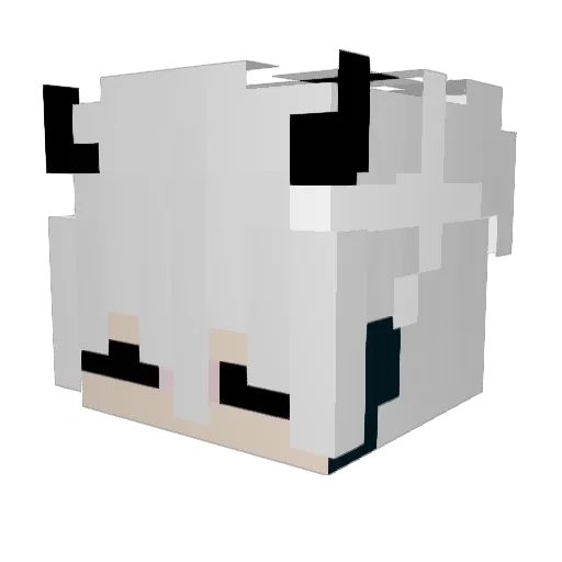 DistantThunders Minecraft avatar head, 3D render