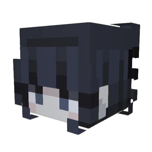 Distantneptune Minecraft avatar head, 3D render