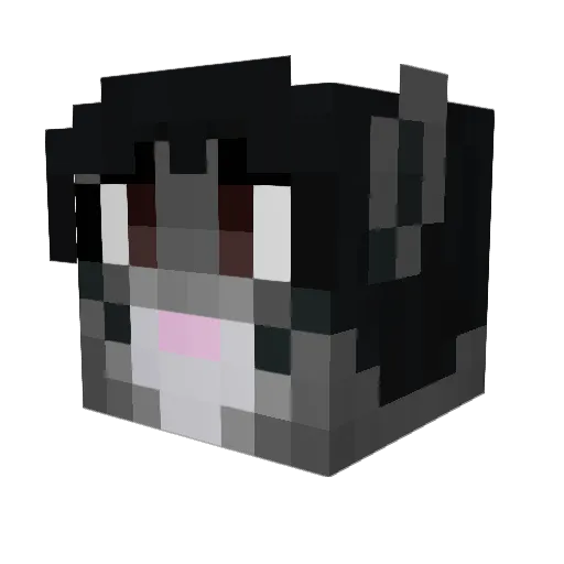 Disterious Minecraft avatar head, 3D render