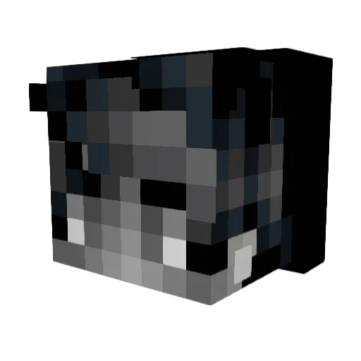 Distinctness Minecraft avatar head, 3D render