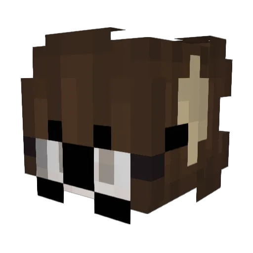DistortedLizard Minecraft avatar head, 3D render