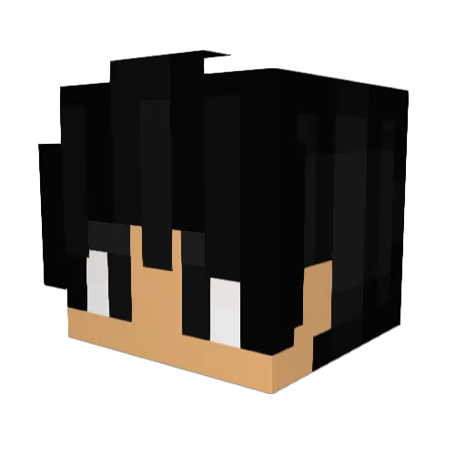 Distowin Minecraft avatar head, 3D render