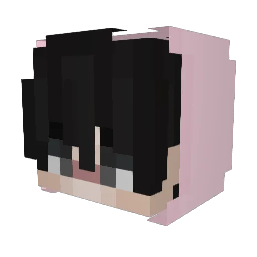 Distraidoo Minecraft avatar head, 3D render