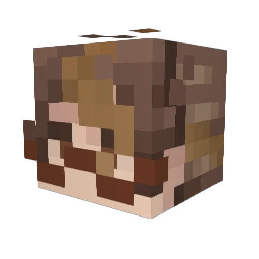 DistressedStick Minecraft avatar head, 3D render