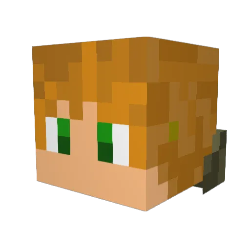 DistrictTwelve Minecraft avatar head, 3D render
