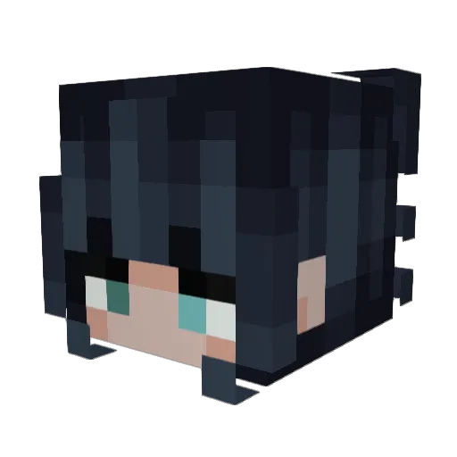 District_12 Minecraft avatar head, 3D render