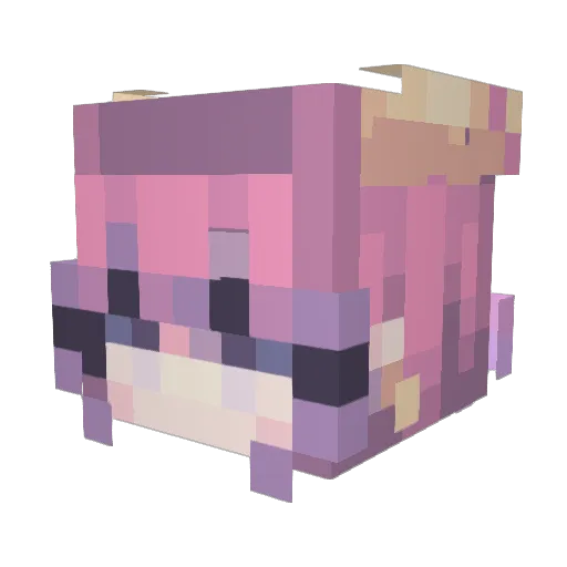 Disturbed117 Minecraft avatar head, 3D render