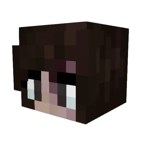 Disvs Minecraft avatar head, 3D render
