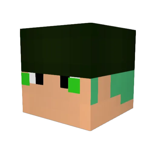 Disway1 Minecraft avatar head, 3D render