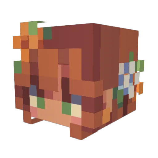 Ditaiyo Minecraft avatar head, 3D render
