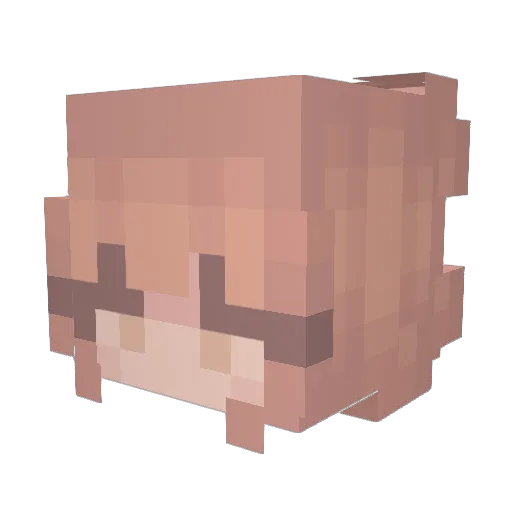 Dite1234 Minecraft avatar head, 3D render