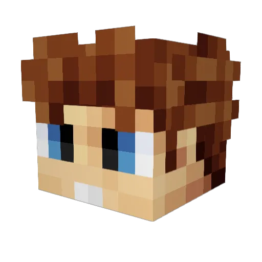 DitmarVisser Minecraft avatar head, 3D render
