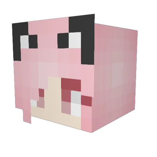 Ditte1276 Minecraft avatar head, 3D render