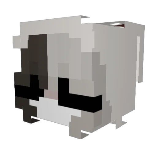 Dittle_Diggle Minecraft avatar head, 3D render