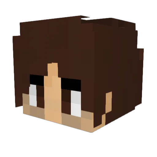 Ditto3 Minecraft avatar head, 3D render
