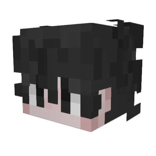 Ditzyyxx Minecraft avatar head, 3D render