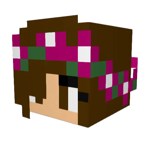 Divaeoe19 Minecraft avatar head, 3D render
