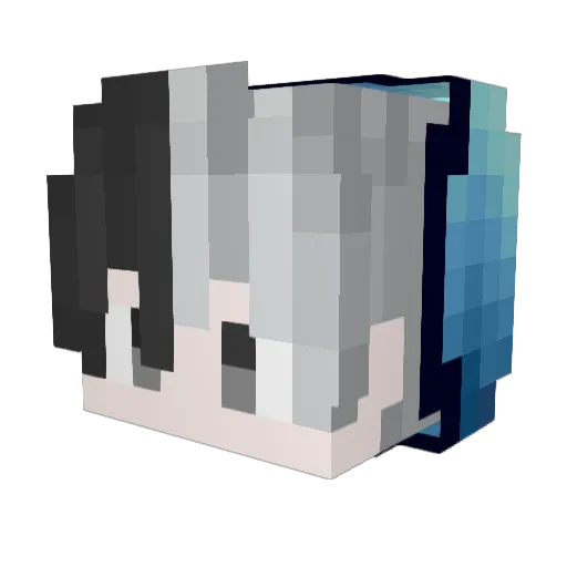 Divejunkie Minecraft avatar head, 3D render