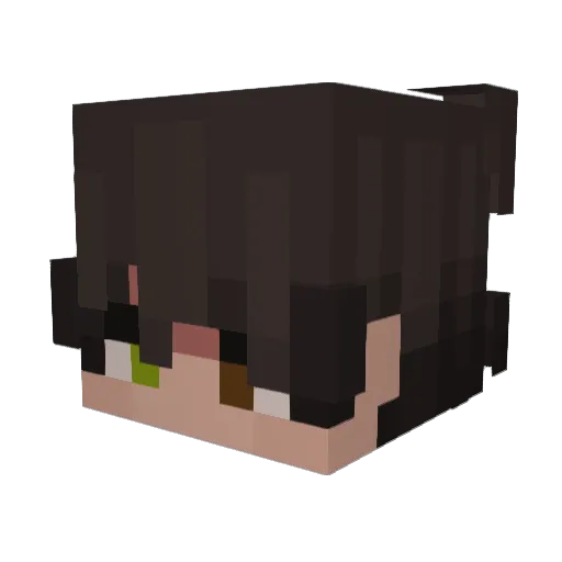 Diverdown2 Minecraft avatar head, 3D render