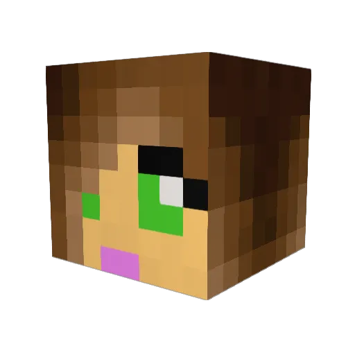 Divergent4 Minecraft avatar head, 3D render
