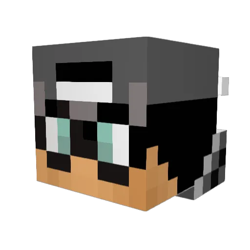 Divergentni Minecraft avatar head, 3D render