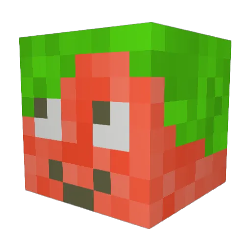 DiverseBasil Minecraft avatar head, 3D render