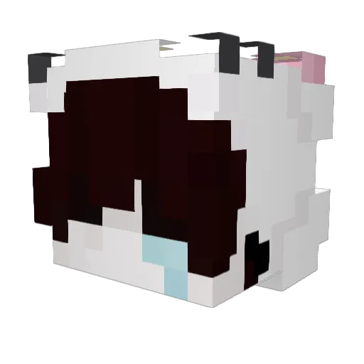 Divfy Minecraft avatar head, 3D render
