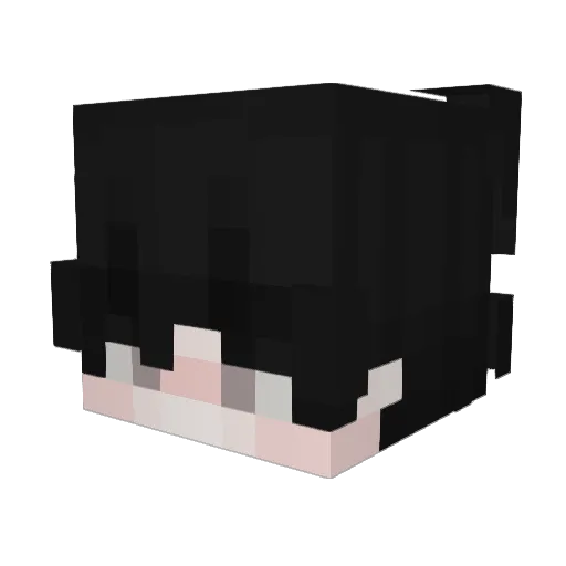 Divid3d Minecraft avatar head, 3D render