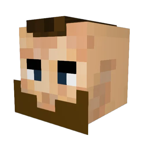 DividedTuna453 Minecraft avatar head, 3D render