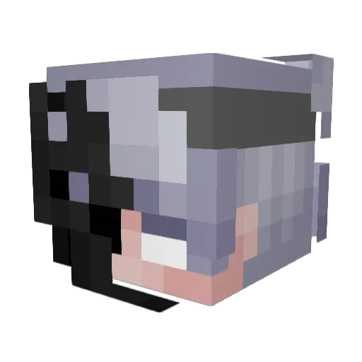 Diviin3__Hullo Minecraft avatar head, 3D render