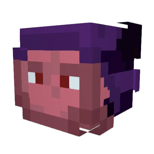 DivineOctopus Minecraft avatar head, 3D render