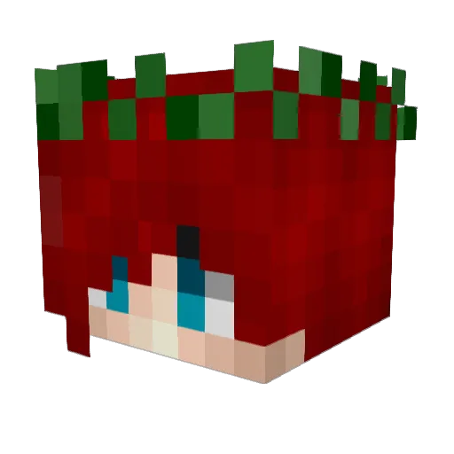 DivinePuck Minecraft avatar head, 3D render