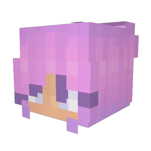 DivineTiming Minecraft avatar head, 3D render