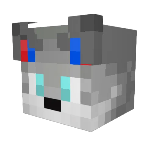 Divine_Puppy Minecraft avatar head, 3D render