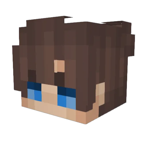 Divinity401 Minecraft avatar head, 3D render