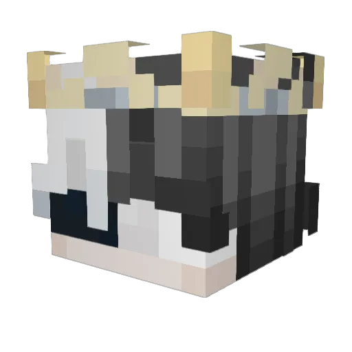 Divinus_X Minecraft avatar head, 3D render