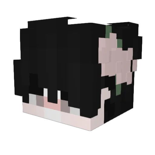 Diw0m Minecraft avatar head, 3D render