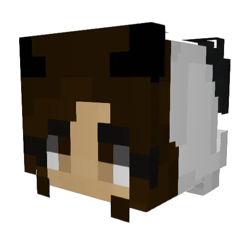 Diwjax Minecraft avatar head, 3D render