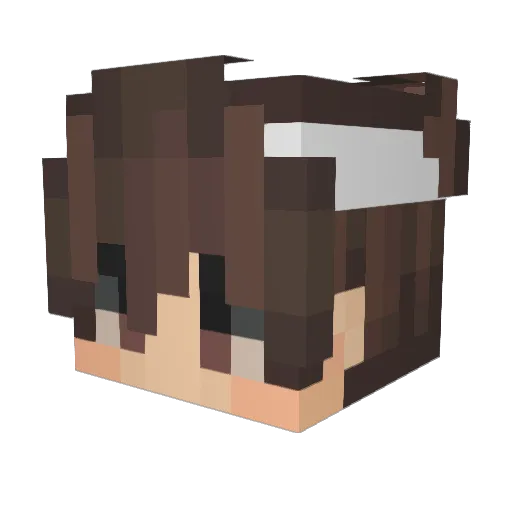 DixMC Minecraft avatar head, 3D render
