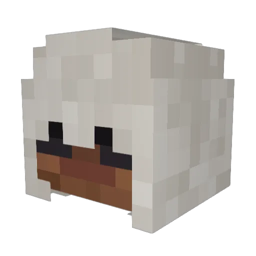 Dixanator Minecraft avatar head, 3D render